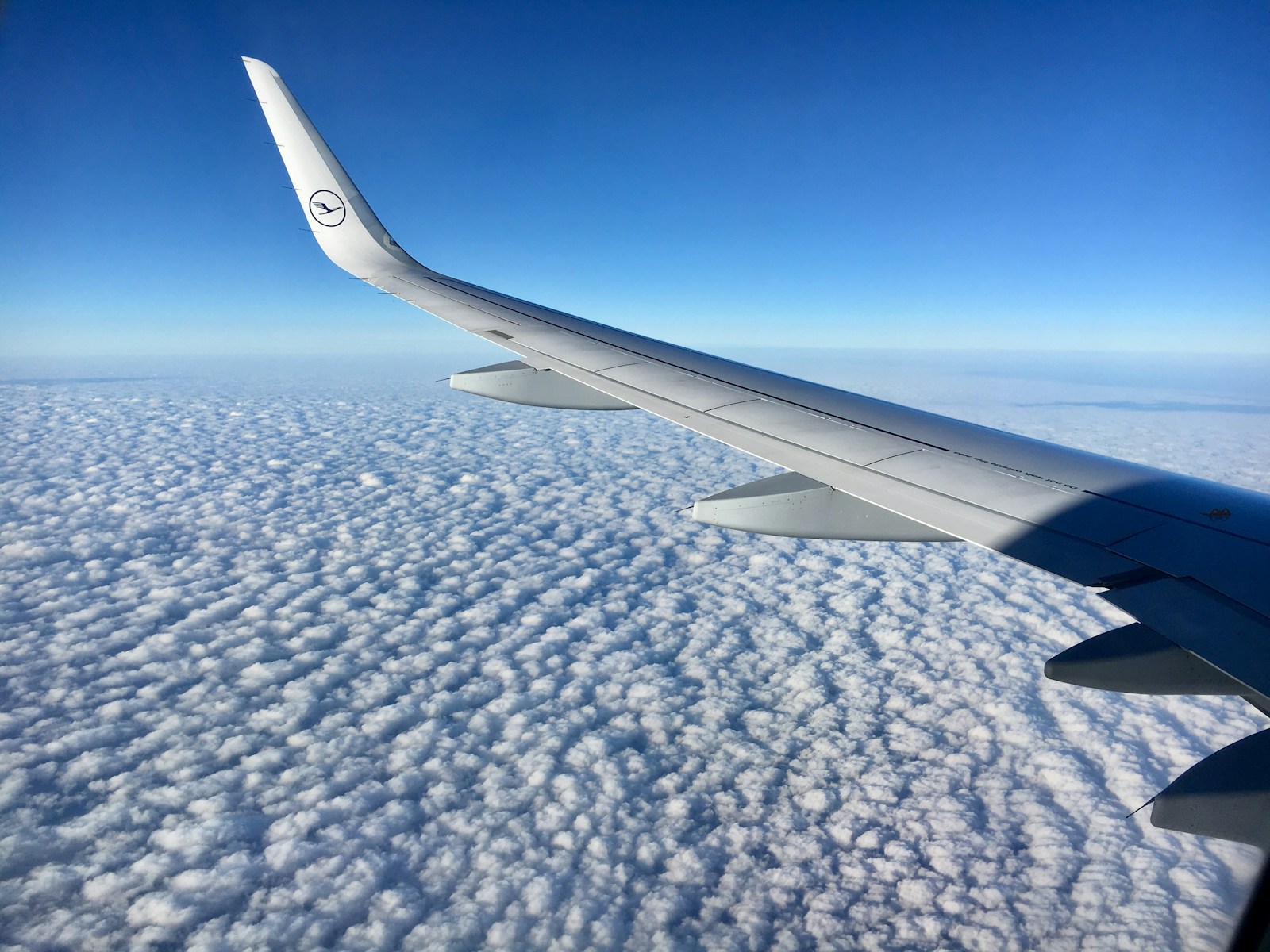 Tips on Flying for the First Time